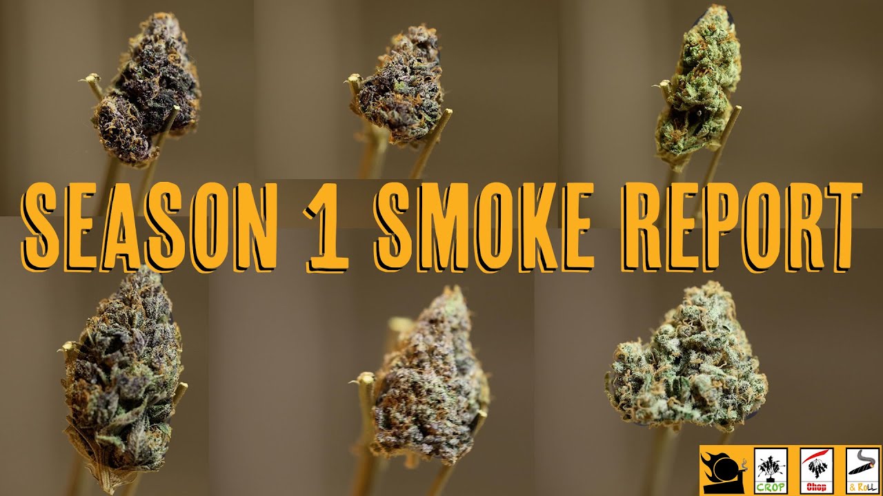 Smoke Report End of Season 1!!