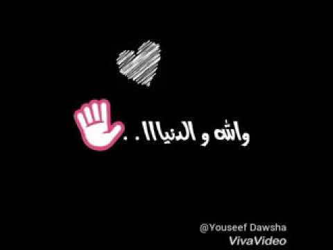 حالة واتس يااجمل هدية عمرو دياب سلطان فهمي