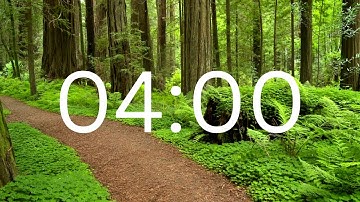 4 Minutes Timer with soft calm peaceful relaxing music with forest ambience sound effect