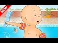 New caillou learns to swim  funny animated cartoon for kids  cartoon caillou l cartoon movie