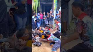 Download Lagu Ngamok Kesurupan Demit Bantengan Putra Kencana #bantengan #mberot #jaranan #kudalumping #shorts MP3