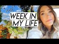 WEEK IN MY LIFE | raw emotions, not feeling like myself, getting out of a rut, & puppy updates!