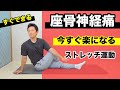 【座骨神経痛】ストレッチ運動で今すぐ楽になる!