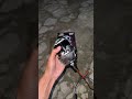 Biled AYOTO BL 26 ✋️
