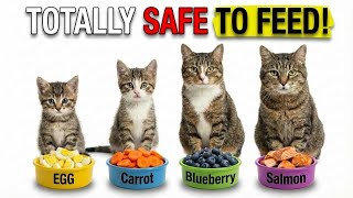 These Human Foods Are Safe for Cats (And Vets Use Them!)