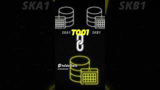 Join Tables in SE16H  SAP S4HANA Demo