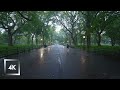 Walking In The Rain Central Park New York Binaural Rain Umbrella And Nature Sounds For Sleep Walking In The Rain Central Park New York Binaural Rain Umbrella And Nature Sounds For Sleep