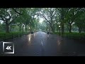 Walking in the rain central park new york binaural rain umbrella and nature sounds for sleep