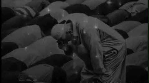 ما تيسر من سورة البقرة بصوت سيف العزيزي