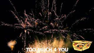 Too Much 4 You - Jake's Fireworks