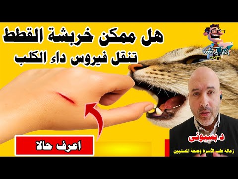 لماذا يجب أخذ تطعيم داء الكلب حتى من الخدش البسيط اهلا يا دكتور