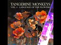 Tangerine Monkeys - The Language of the Flowers (Full Album – Vol. 4) | Experimental Noise Rock