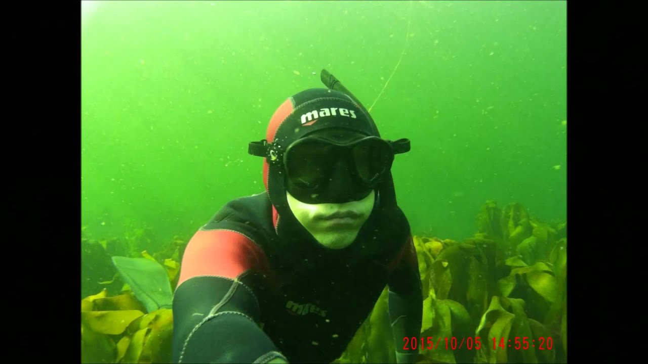 Spearfishing Ireland Under the sea YouTube