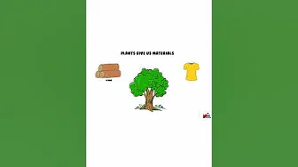 How do Plants help us ?