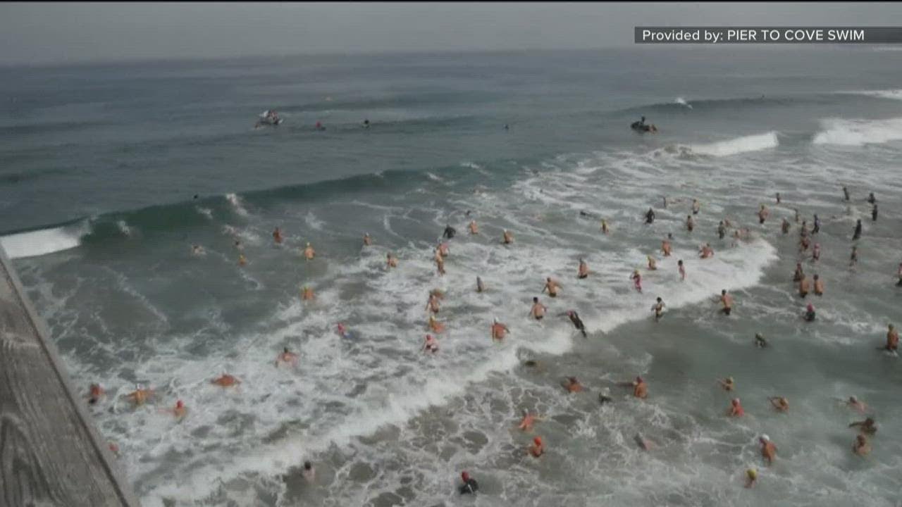 Pier to Cove Swim event returns to La Jolla YouTube