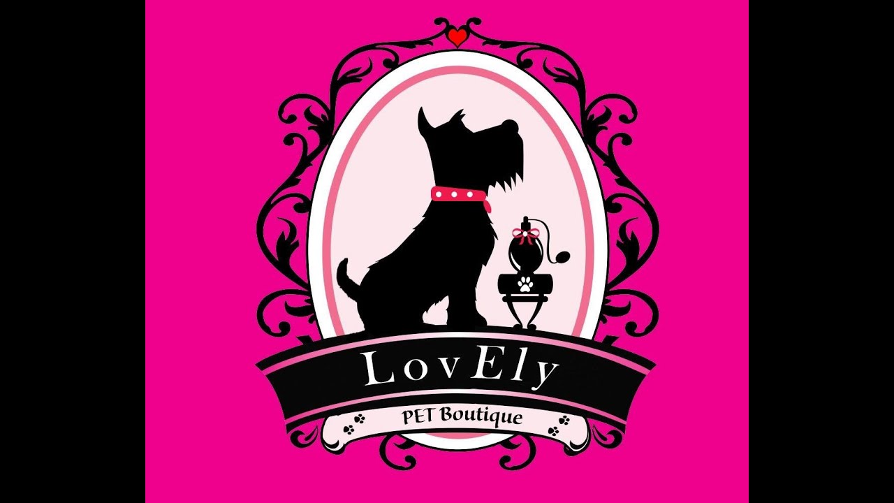 🎅🏻 APERTURE SPECIALI NATALIZIE 🎅🏻