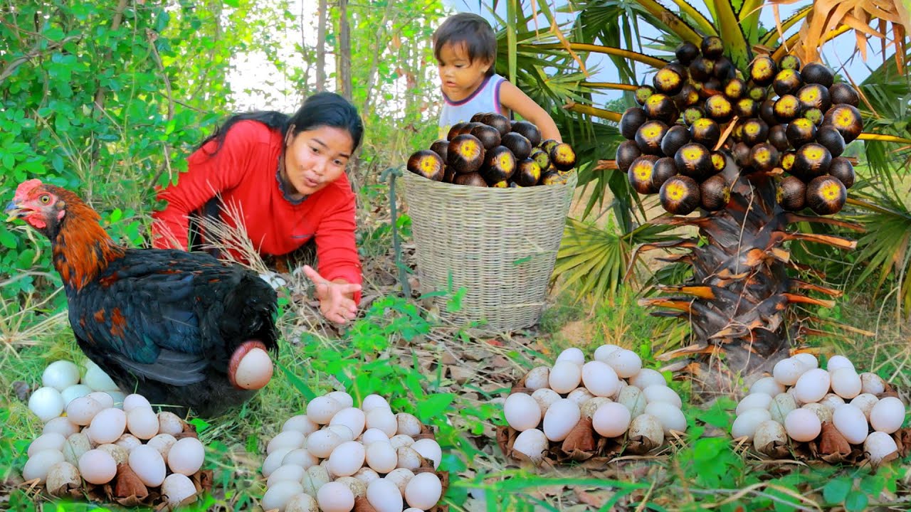 Women Found Palmyra Palm fruit and chicken egg Fried chicken egg for