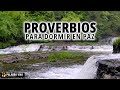 Proverbios para dormir en paz | la Biblia hablada | Duerme con la palabra de Dios y música suave