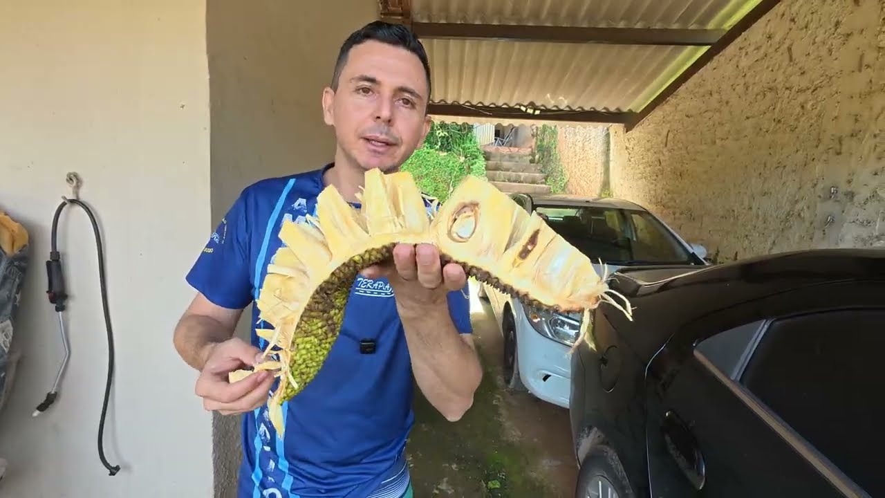 Um Dia no Interior: Frutas no Pé, Comida Boa e Natureza 🌾