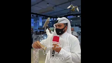 اغلى طير طرح منغوليا 666000 عبدالله مرشد الكعبي مزاد كتارا 2021 9 9 