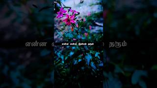 வண்ண கனவே..✨️🍃 #shorts #shortsfeed #lovesongtamil #nature #lyricssong
