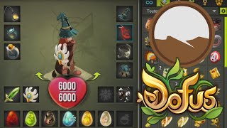 IOP 6000 PDV 1200 FORCE SUR DOFUS !