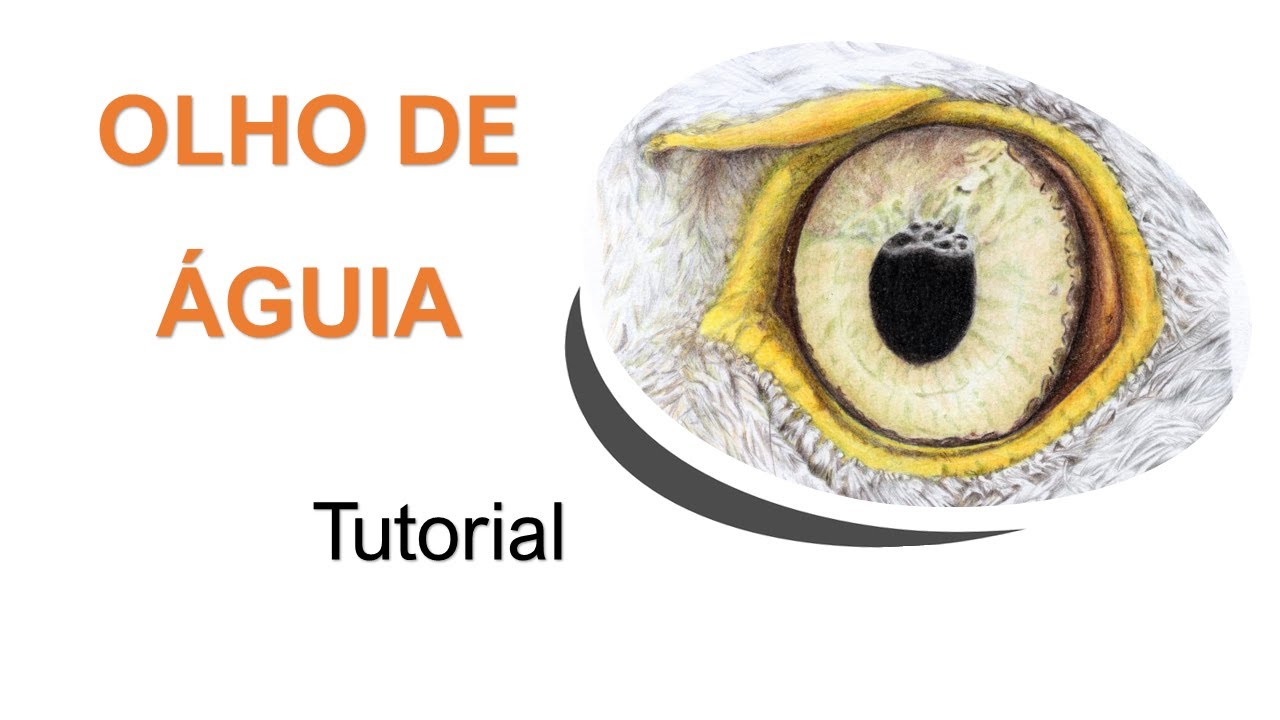 Como desenhar um morcego realista  Tutorial de desenho passo a passo