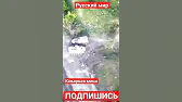 АМОН РА