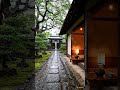 Rain &amp; Piano on Path to Garden Gate Rainy Day for Sleep &amp; Study