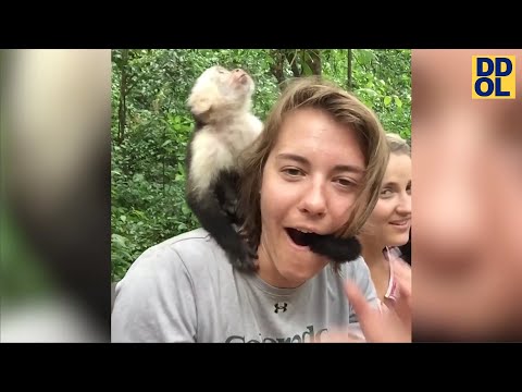TRY NOT TO LAUGH WATCHING FUNNY FAILS VIDEOS 2022 #186