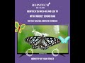 Reintech LED TV's|| 55" Inch Android || 4k UHD LED TV's || #Reintechledtv #smart_tv #4kuhd