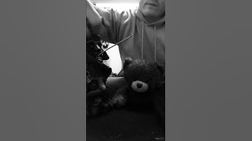 Thumbnail of 🌲Beatbox Cover - Under Arrest by Alific feat. Stick Figure🌿