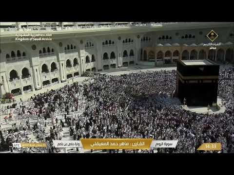    بث مباشر قناة القرآن الكريم   