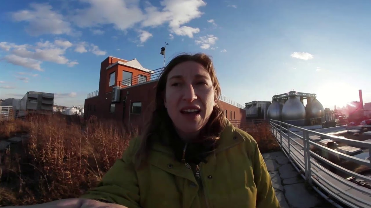 Kingsland Wildflower Rooftop Greenpoint, Brooklyn YouTube