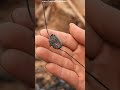 Заставили делать мёд   #short