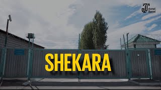 SHEKARA🪖🫡