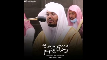 (سيماهم في وجوههم من أثر السجود) الشيخ : ياسر الدوسرى تلاوة من اجمل التلاوات