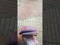 البريد اليوم درو فيه غير 20 درهم Viralvideo Travel البريد اليوم درو فيه غير 20 درهم Viralvideo Travel