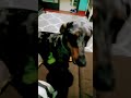 meu fofinho
