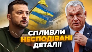 😳Зеленський Шокував! Такої Розмови Орбан Не Чекав. Всі Подробиці Розмови