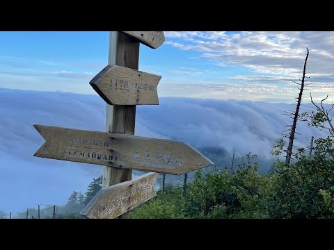 2 дня в лесу. Траверс Пидан-Фалаза. Поход. Ужасная ночь. Оставили вещи в лесу.