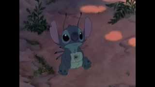Citation Ohana Veut Dire La Famille La Famille Veut Kaakook Citation Ohana Veut Dire La Famille La Famille Veut Kaakook