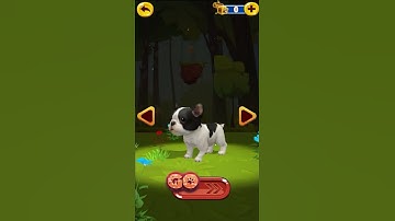 Dog Run Pet Dog Simulator | Gameplay