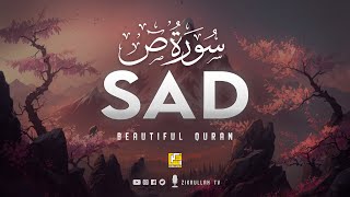 SURAH SAD سُوْرَۃ ص | This VOICE will MELT your HEART إن شاء الله | Zikrullah TV screenshot 5