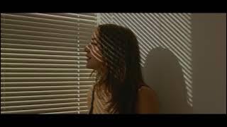 Blinds Unlimited