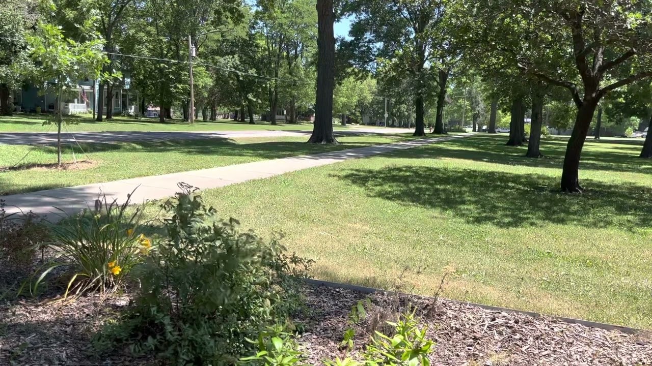 Allertor & Sentry 14v