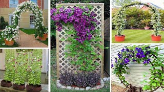 44 Trellis Garden Ideas: Elevate Your Outdoor Oasis with Vertical Beauty