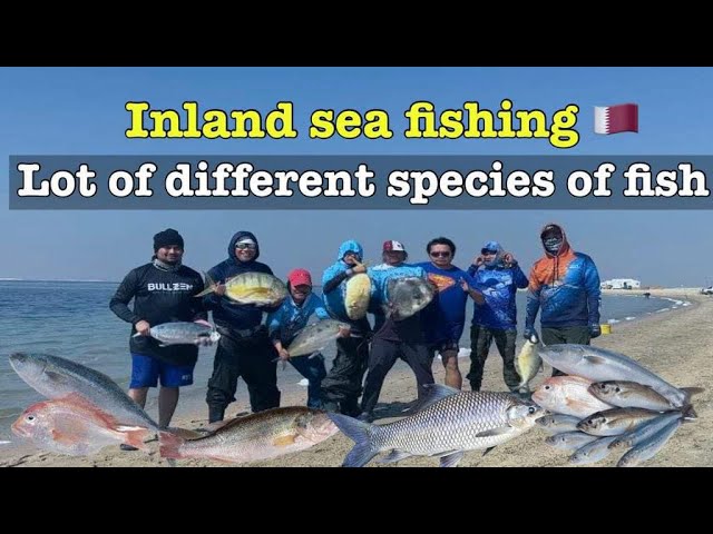 Inland Sea Fishing. Lot of different species of fish 