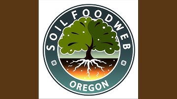 Parent Material of Soil