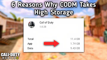 Kolik GB má CoD mobile?